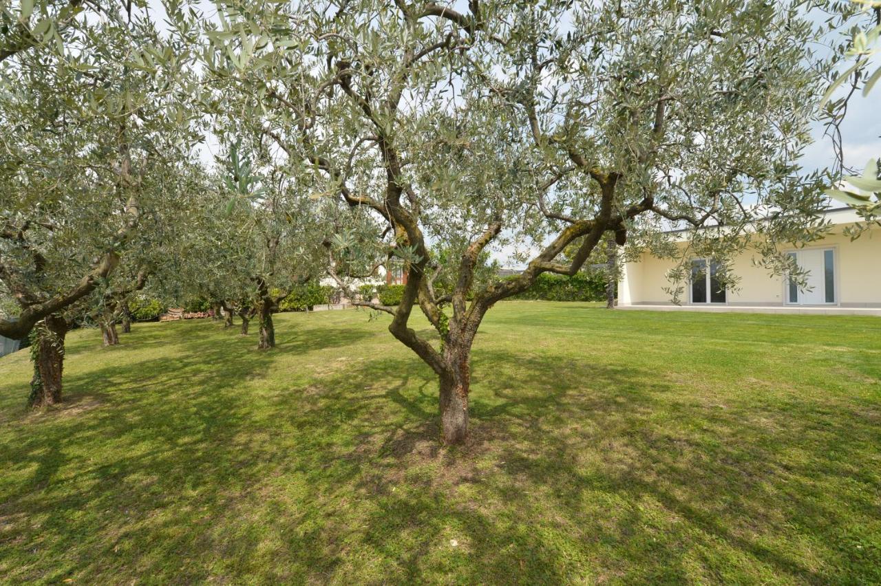 Albergo Panoramica باردولينو المظهر الخارجي الصورة