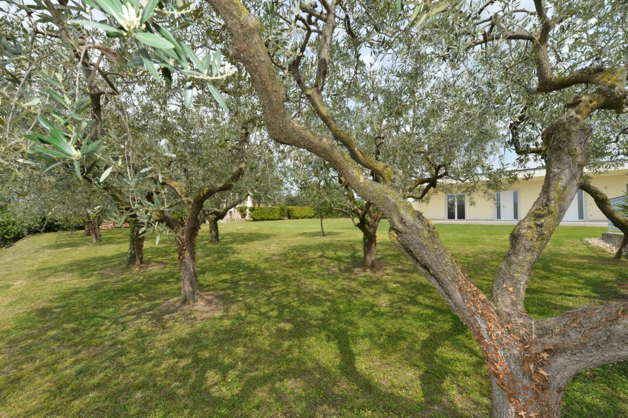 Albergo Panoramica باردولينو المظهر الخارجي الصورة